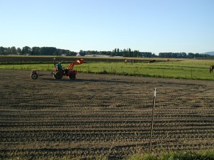 sheepfield Seeding with Gandy Drop Spreader
