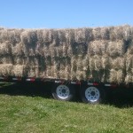 Hay Load 2015